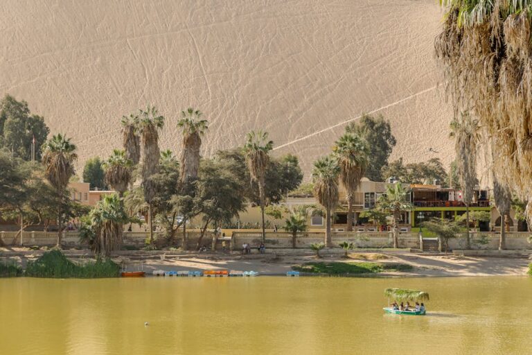 budget friendly desert oases