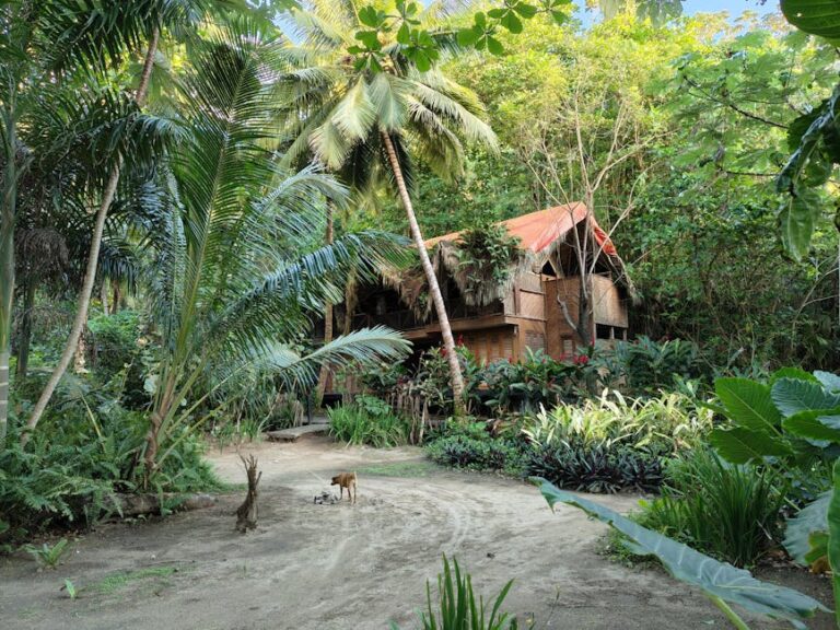 2026 cheap eco havens