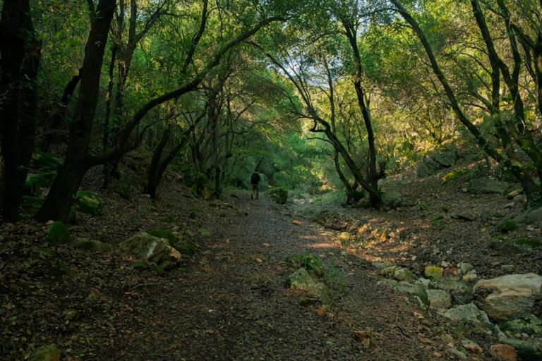 cheap Jordan off paths 2026