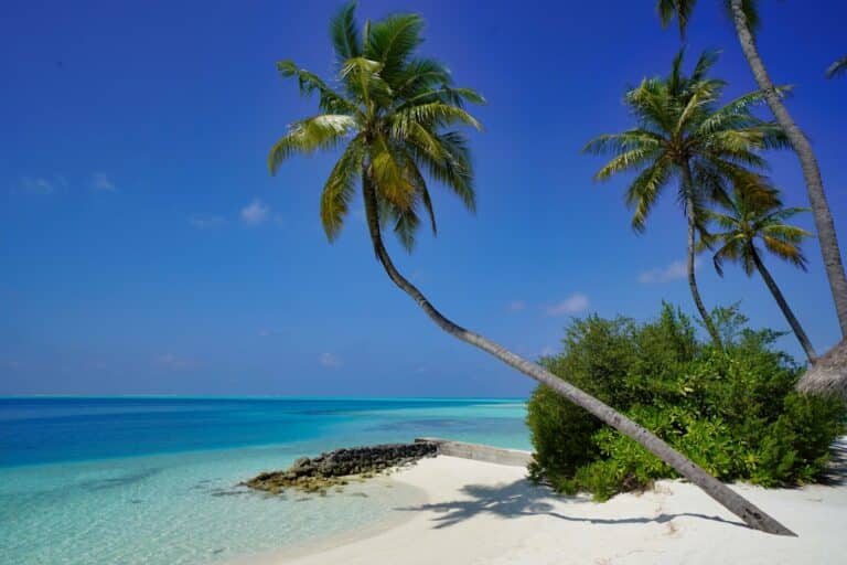 affordable tropical vacations