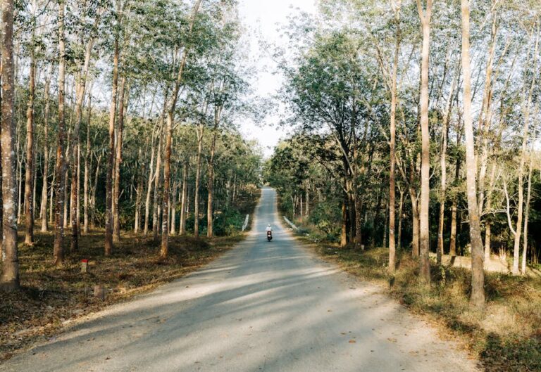 affordable off beaten path
