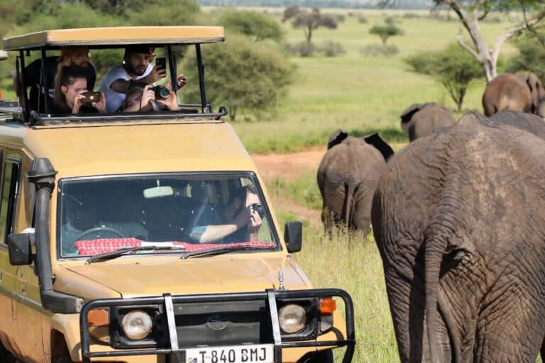 cheap safaris in africa